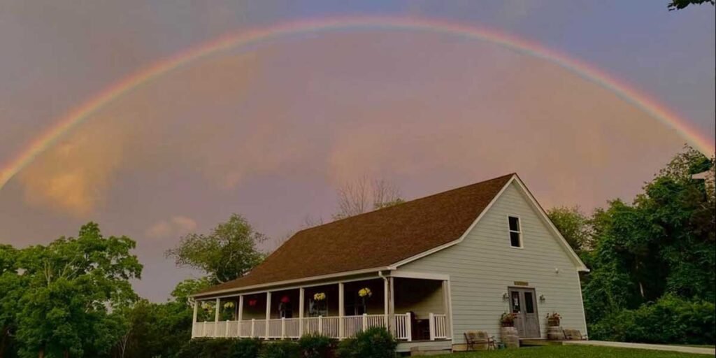 Clearview Vineyard