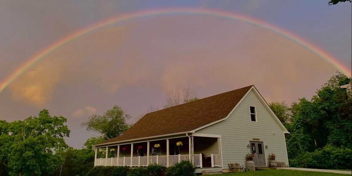 Clearview Vineyard